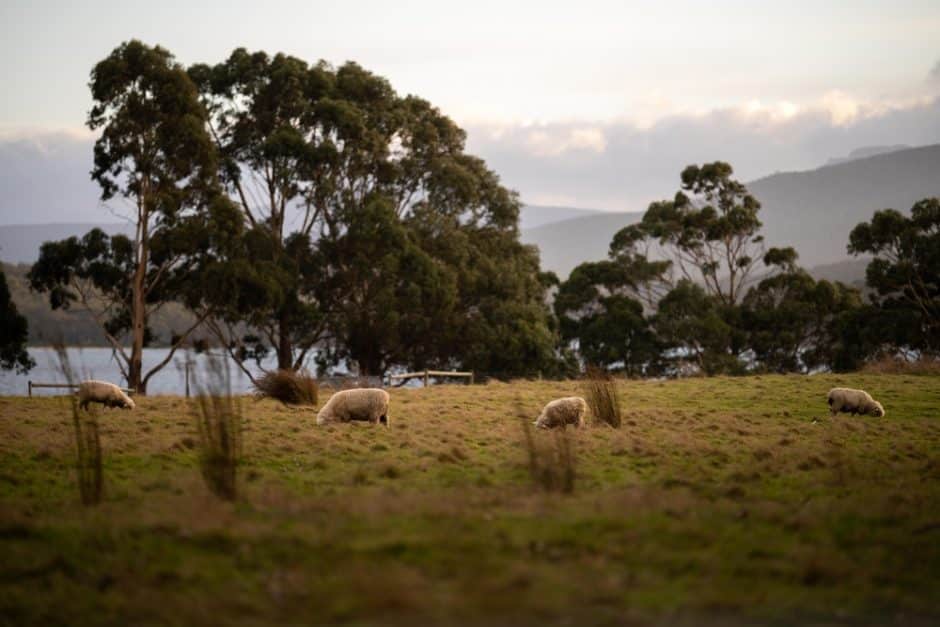 Regenerative agriculture practices combating climate change