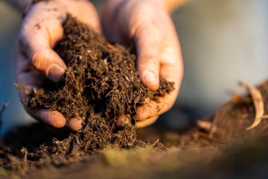 Close up of a farmers hands holding brown soil. 